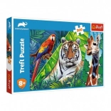 Puzzle Amazing Animals 300 pieces 60 × 40 cm
