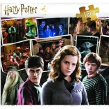 Puzzle HARRY POTTER and Friends 160 pieces Trefl