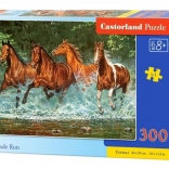Puzzle 300 Pieces Cascade Run