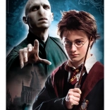 Harry Potter 500-Piece Puzzle