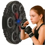Training Boxing Target for Wall with Bluetooth Music and USB
