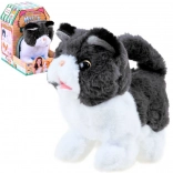 Chat Peluche Interactif Psotek