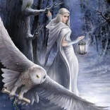 Puzzle Anne Stokes Midnight Messenger 1000 pieces