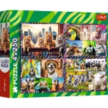 Puzzle 4×250 pieces Cheerful Animals