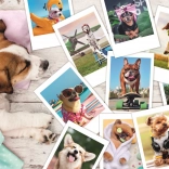 Puzzle 300 Pieces - Vacation Photos