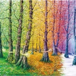 Puzzle Threads of Life 1000 pieces MAGNOLIA