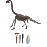 Archeologieset – brachiosaurus