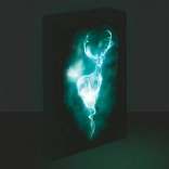 Illuminated LED Picture Harry Potter - Patronus