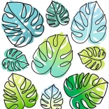 Iron-on images with monstera leaves 15 × 21 cm