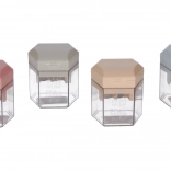 Double-hole pencil sharpener with shavings container