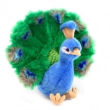 Plysbrynet påfugl 25 cm