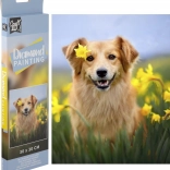 Grafix diamond painting dog in daffodils 30 × 30 cm