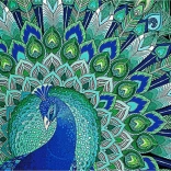 7D diamant schilderen pauwenmagie 30 × 30 cm
