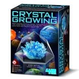 Set educativo per coltivare cristalli 4M