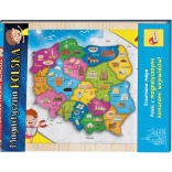 Magnetic Map of Poland I'M A GENIUS