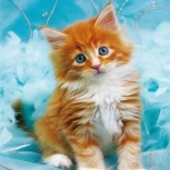 Diamantmalerei – rotes Kätzchen auf blauem Hintergrund 30 × 40 cm