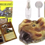 Kit educativo di scavi Triceratops