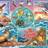 Family Puzzle Ocean Magic 350 pieces COBBLE HILL