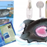 Set educativo Esplorazione dell'oceano - Squalo e trilobiti