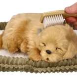 Adopt a Breathing Golden Retriever Puppy