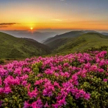 Puzzle Pink Twilight 1000 pieces