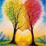 Magnolia Connection Puzzle 1000 Pieces