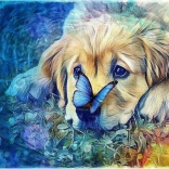 Peinture diamant – chien avec nœud papillon 30 × 40 cm