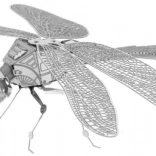 3D Metal Model Dragonfly