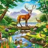 Forest Harmony Puzzle 300 Pieces