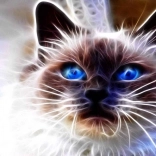 Diamond Painting Cat Magic 30 × 40 cm