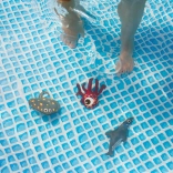 Sea Animals for Water for Kids