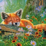 Foxy Dreams 500-Piece Puzzle