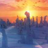 Puzzle Finnish Nature 1000 Pieces