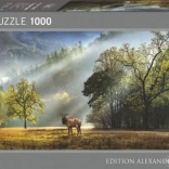 Puzzle 1000 pièces – salut du matin