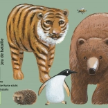 DJECO Kaartspel Wie is wie