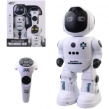 Interactive Remote-Control Robot for Kids