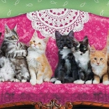 Panoramic Puzzle Cats on a Cat Couch - 1000 Pieces