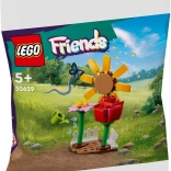 LEGO® Friends 30659 Flower Garden
