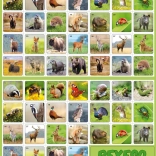 Forest Memory Game - Woodland Animals