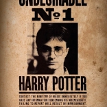 Mini Puzzle HARRY POTTER 50 pieces – Poster