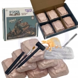 WOOPIE opgraafset 6in1 dinosaurus skeletten voor jonge archeologen