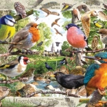 Ravensburger puzzle Our Feathered Friends 1000 pieces