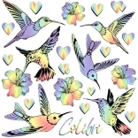 Rainbow Hummingbirds Iron-on Transfers – Small Sheet 15 × 21 cm