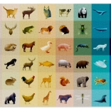 Puzzle CLOUDBERRIES Fauna 1000 pieces