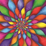 Rainbow Petals Puzzle 1000 Pieces