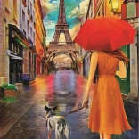 Puzzle Friendship in the Rain - 500 Pieces