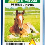 Quartet - Horses in a Plastic Case