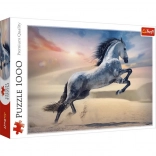Puzzle 1000 pieces Majestic Horse