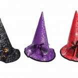 Wizard Hat with Spider