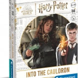 Harry Potter Card Game: Into the Cauldron